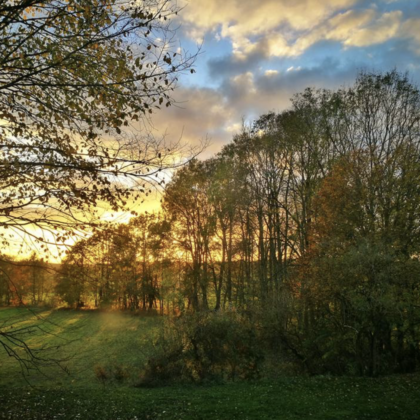 FeWo Bayreuth Kemnath Hundeparadies