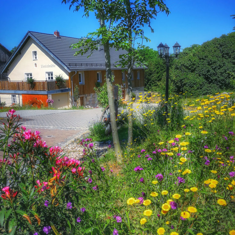 Lienlasmühle Hundepension Zottels Best