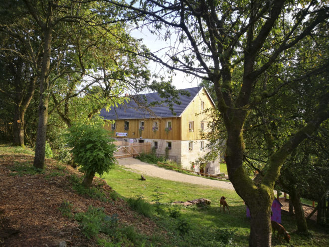 Lienlasmühle Kirchenpingarten Hundeparadies