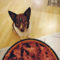 Joshi Nassfutter Hundefutter Zottels Best