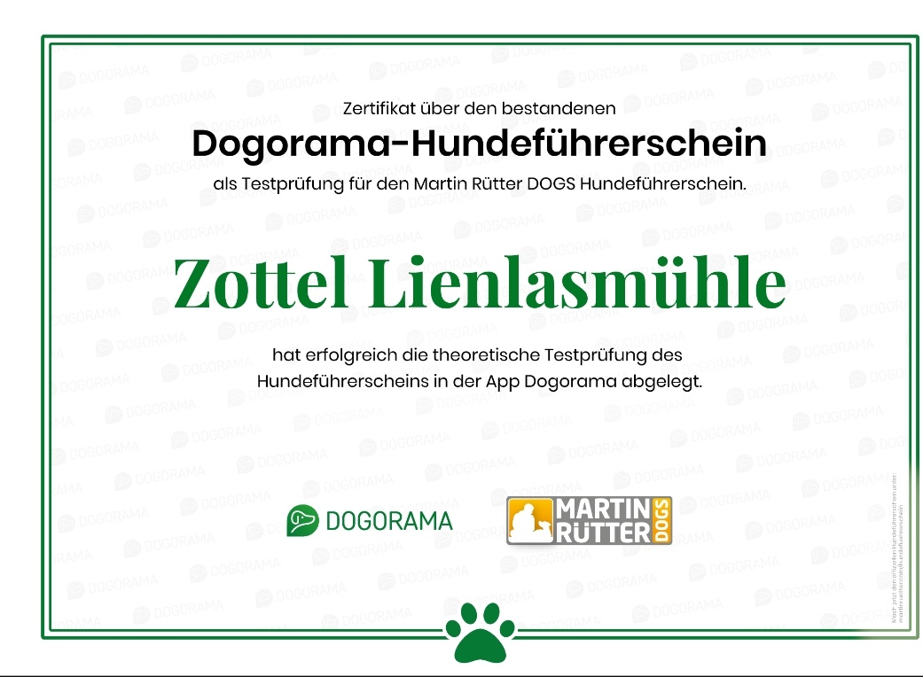 Screenshot_20211122-195304_Ecosia-01