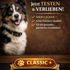 Probierpaket CLASSIC