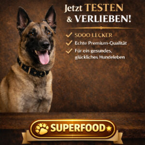 Probierpaket SUPERFOOD