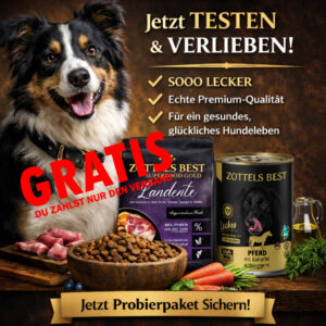 Test PREMIUM Hundefutter. Du zahlst nur den Versand.