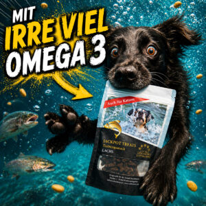 Jackpot Treats - Lachs HAUT UND FELL