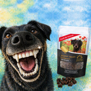 Jackpot Treats - Truthahn ZAHNPFLEGE