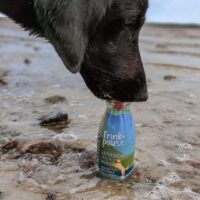 Hundesmoothie Trinkpause (Ente) – 3er Pack – Bild 4