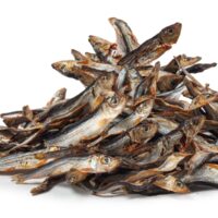 Hering Fische 200g – Bild 2