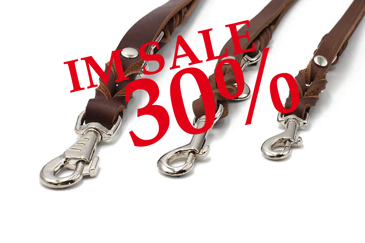 Lederleine Klassik 2m