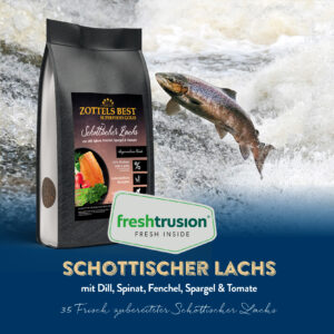 Superfood GOLD Schottischer Lachs