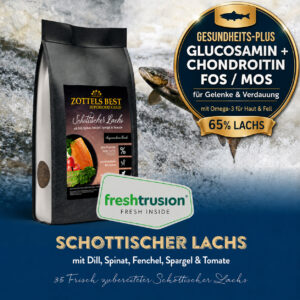 Superfood GOLD Schottischer Lachs