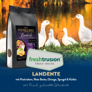 Superfood GOLD Landente