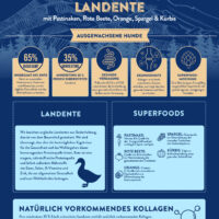 Superfood GOLD Landente – Bild 4