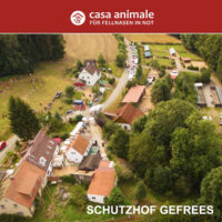 Du willst helfen? Wir liefern deine Spende direkt in den Schutzhof – Bild 4