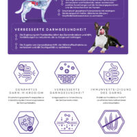 VETcare GASTROINTESTINAL - bei Magen/Darm Problemen – Bild 3