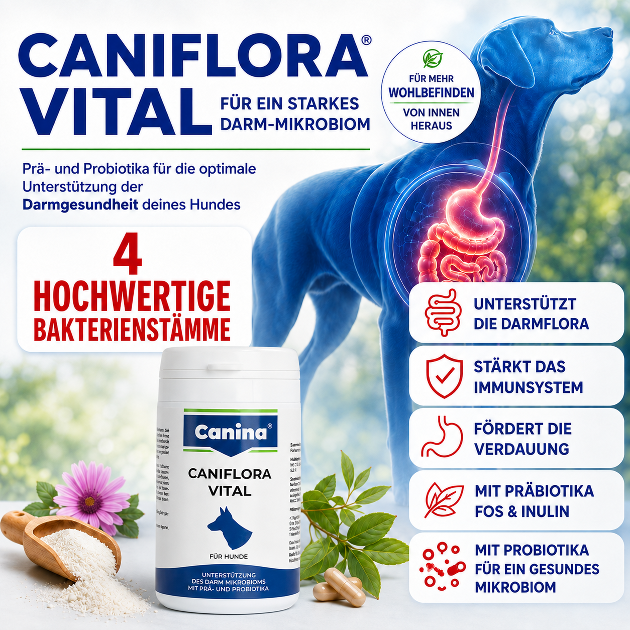 CANINA® CANIFLORA VITAL