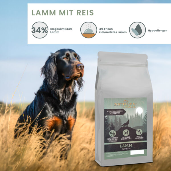 SPEZIAL SCHONKOST Lamm mit Reis