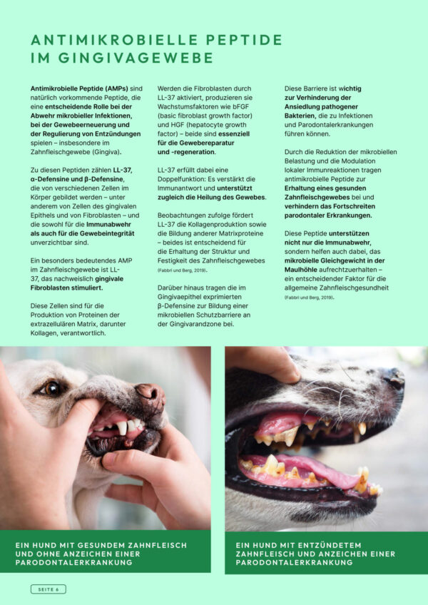VETCARE PEPTIDE Zahnpflege – Bild 7