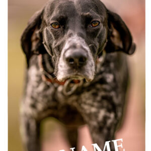 Kühlschrankmagnet (eigenes Foto)