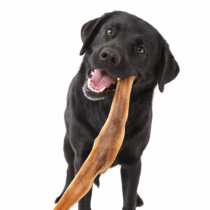 NATURE SNACK Büffelkopfhaut 50cm 1 St