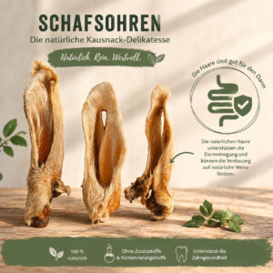Schafsohren mit Haaren