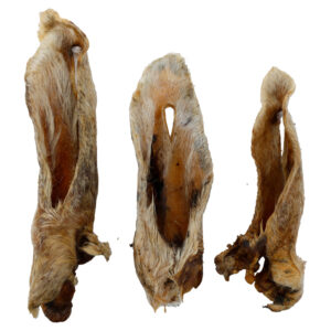 Schafsohren mit Haaren