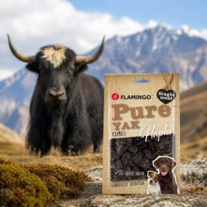 Snacks Kleine Blöcke mit Yak