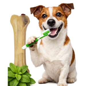 Rinderhautknochen DENTAL mit Minze 11 cm (2 St.)