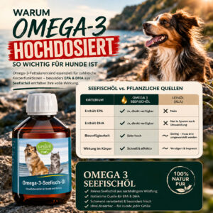 OMEGA 3 HOCHDOSIERT
