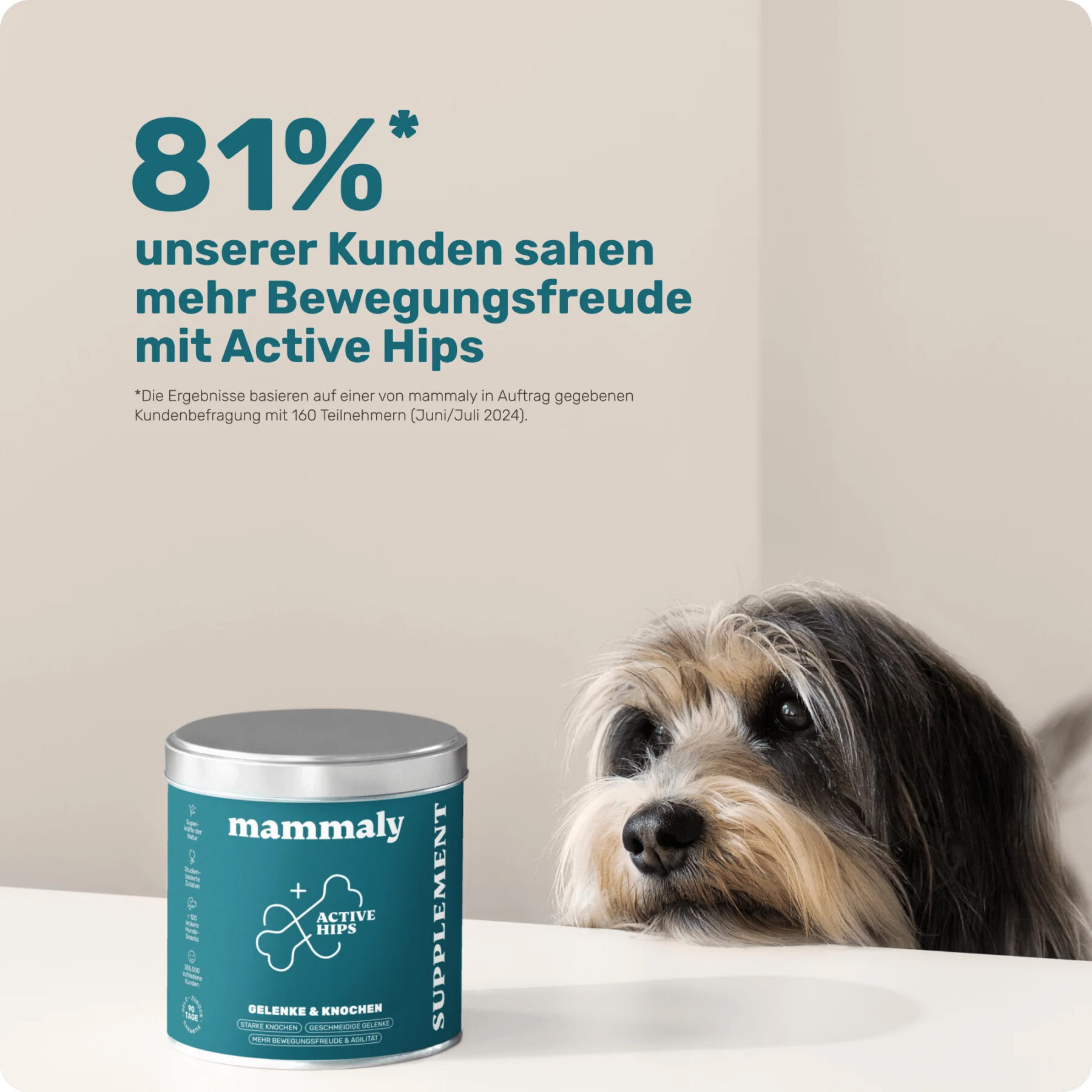 Active Hips – Bild 2