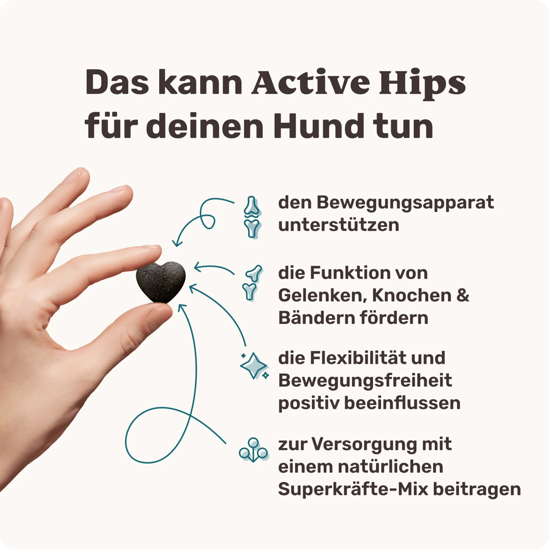 Active Hips – Bild 3