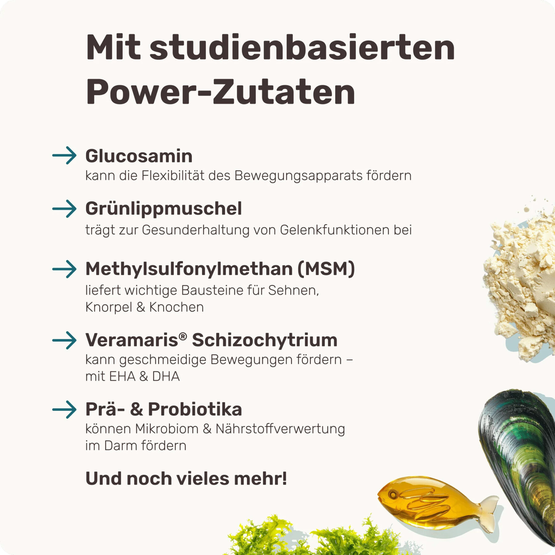 Active Hips – Bild 4