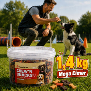 BIG PACK TRAININGSSNACKS