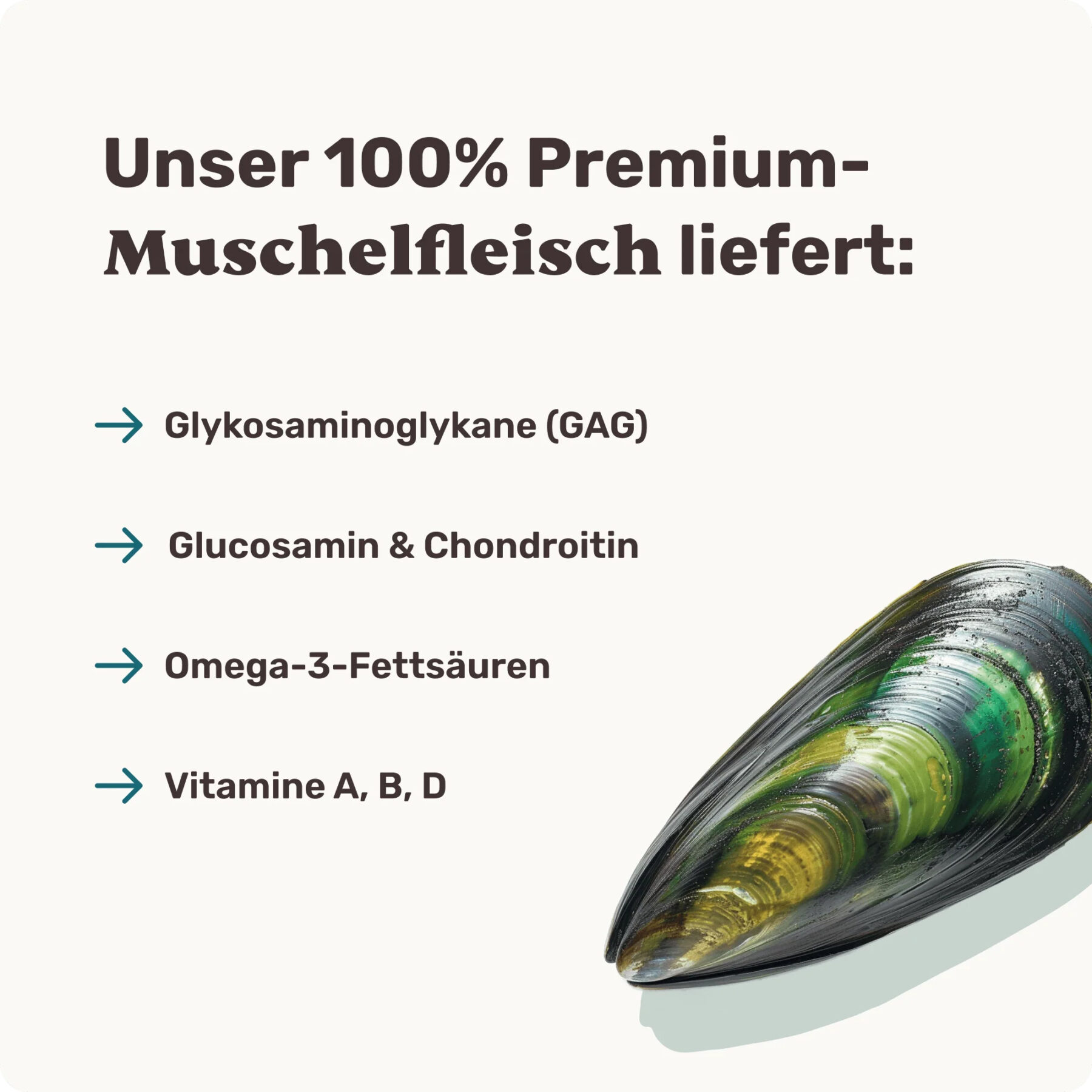 Grünlippmuschel KNORPEL & BINDEGEWEBE – Bild 2