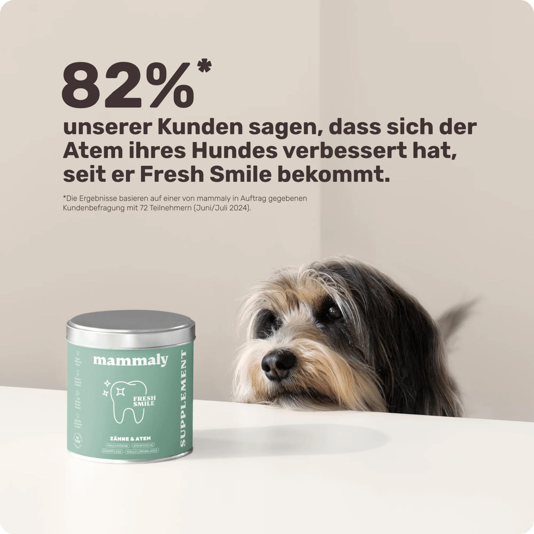 Fresh Smile ZÄHNE UND ATEM – Bild 2