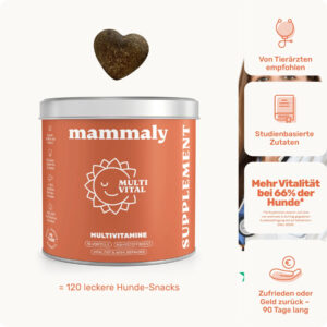 Multi Vital Multivitamin Snacks