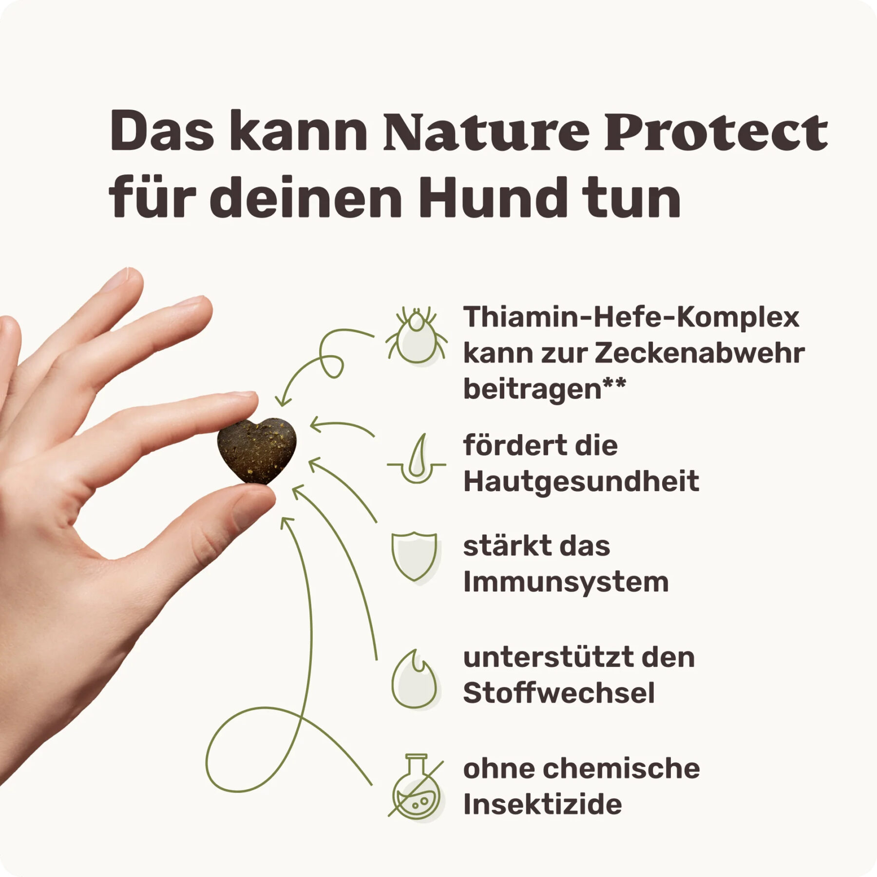 Nature Protect Wald und Wiesenschutz – Bild 3