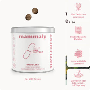 Präbiotika Drops Darmflora