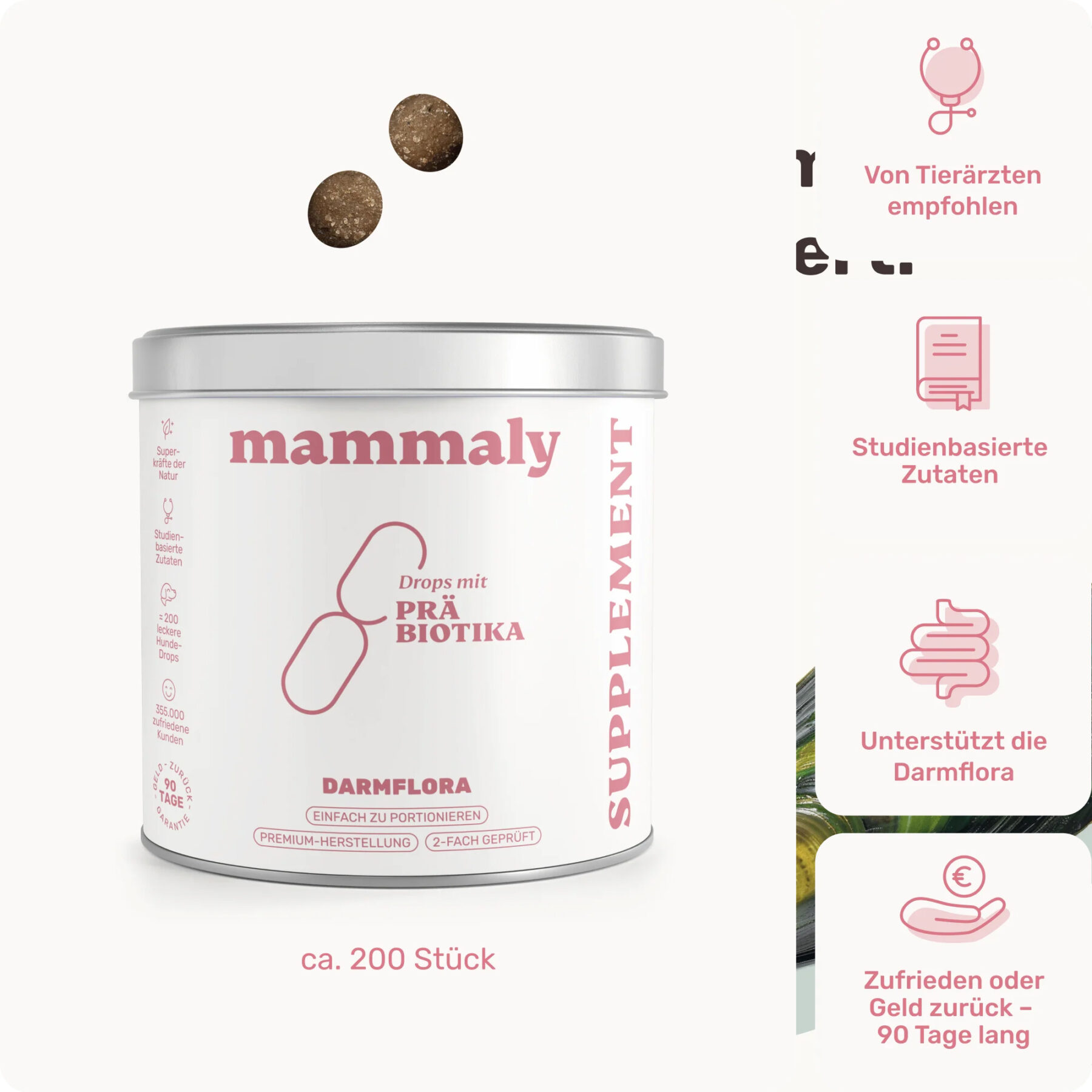 Präbiotika Drops Darmflora