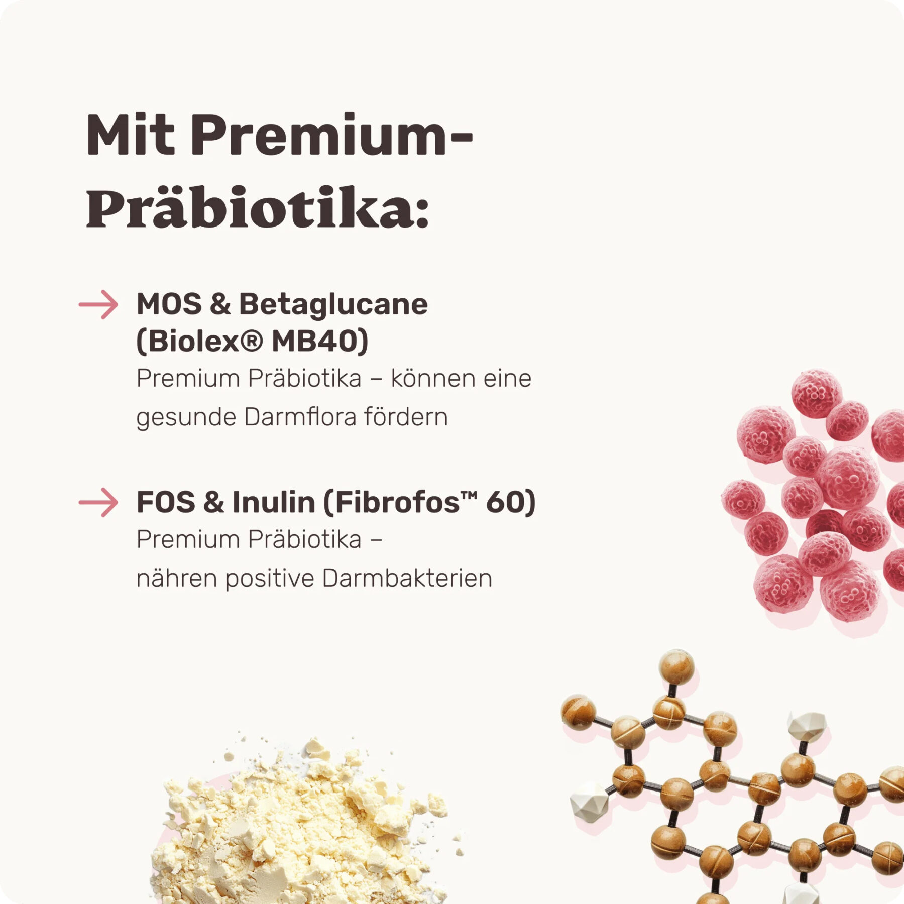 Präbiotika Drops Darmflora – Bild 2